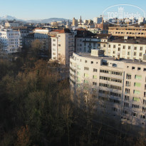 фото из отзыва ID 1251760