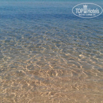 фото из отзыва ID 1257614