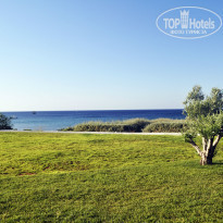 фото из отзыва ID 1252420