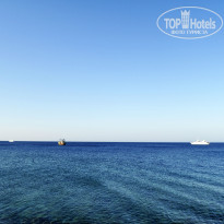 фото из отзыва ID 1252420