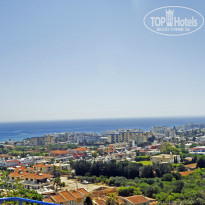 фото из отзыва ID 1252420