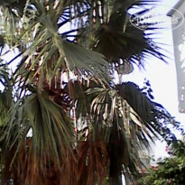 фото из отзыва ID 1257825