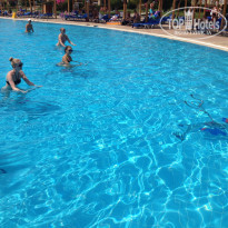 фото из отзыва ID 1257941