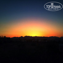 фото из отзыва ID 1258071