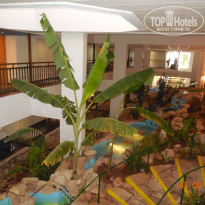 фото из отзыва ID 1258085