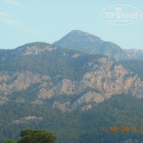 фото из отзыва ID 1258109