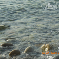 фото из отзыва ID 1258109