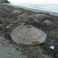 фото из отзыва ID 1258325