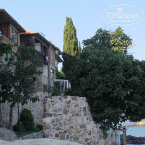 фото из отзыва ID 1258328