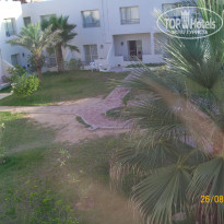 фото из отзыва ID 1258673