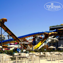 фото из отзыва ID 1258727