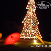 фото из отзыва ID 1258928