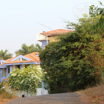 фото из отзыва ID 1258961