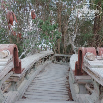 фото из отзыва ID 1258964