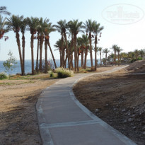 фото из отзыва ID 1258964