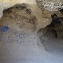 фото из отзыва ID 1258987