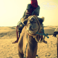 фото из отзыва ID 1259075