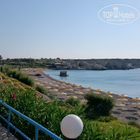 фото из отзыва ID 1259183