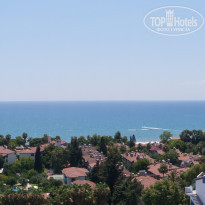 фото из отзыва ID 1259196