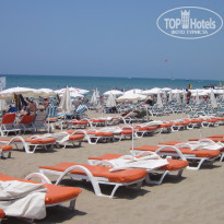 фото из отзыва ID 1259196