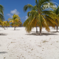 фото из отзыва ID 1259380