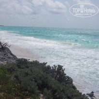 фото из отзыва ID 1259380