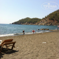 фото из отзыва ID 1252845