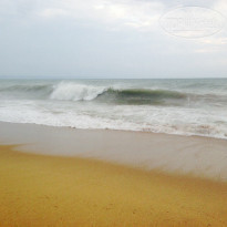 фото из отзыва ID 1259432