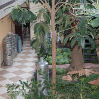 фото из отзыва ID 1259522