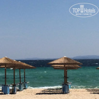 фото из отзыва ID 1259576