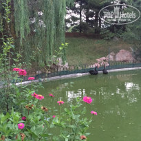 фото из отзыва ID 1259618