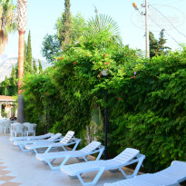 фото из отзыва ID 1259653