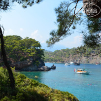 фото из отзыва ID 1259653