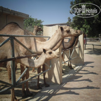 фото из отзыва ID 1259555