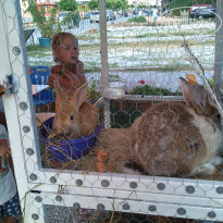 фото из отзыва ID 1259831