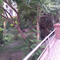 фото из отзыва ID 1259831