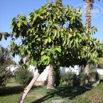 фото из отзыва ID 1250822