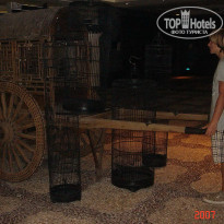 фото из отзыва ID 1255499