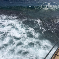 фото из отзыва ID 1260032