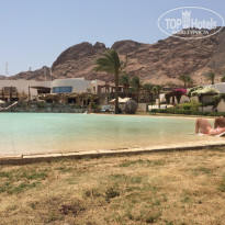 фото из отзыва ID 1260042