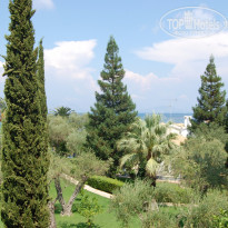 фото из отзыва ID 1260201