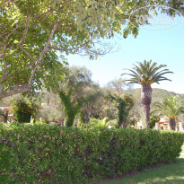 фото из отзыва ID 1260201