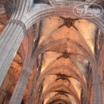 фото из отзыва ID 1260238