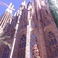 фото из отзыва ID 1260238