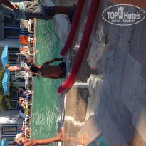 фото из отзыва ID 1260584