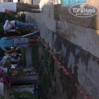 фото из отзыва ID 1260584