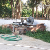 фото из отзыва ID 1260584