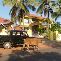 фото из отзыва ID 1260601