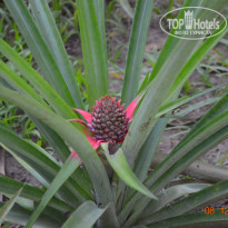 фото из отзыва ID 1260611