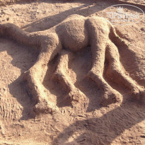 фото из отзыва ID 1260662